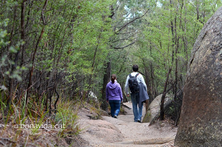 Fem algunes caminades