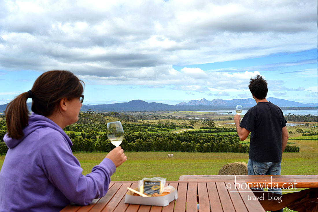 Pots aturar-te als cellers i tastar els seus vins