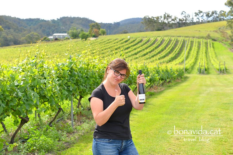 Visitem més winerys i comprem vi pels nostres sopars a la caravana
