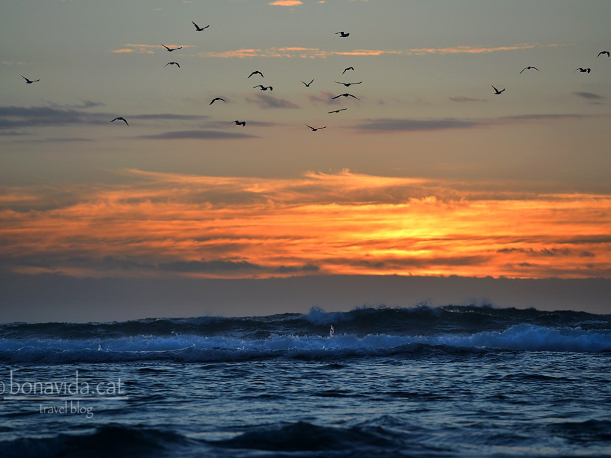 Ruta Austràlia. Dies 35 al 43. Great Ocean Road i&nbsp;Melbourne