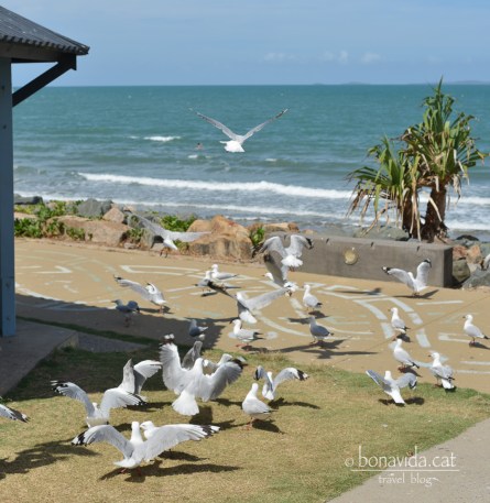 Passeig marítim de Yuppoon