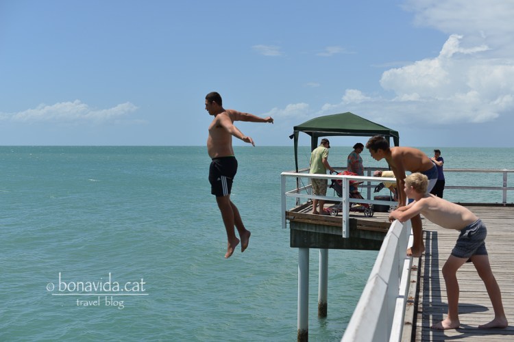 Saltadors olímpics???