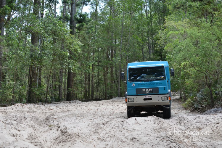 Un híbrid entre camió i bus 4x4 ens porta per l'illa