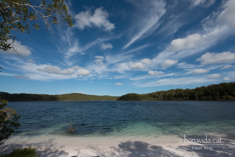 El McKenzie Lake ens sembla espectacular!