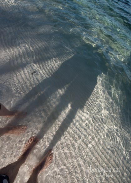 Ens quedaríem tot el dia...