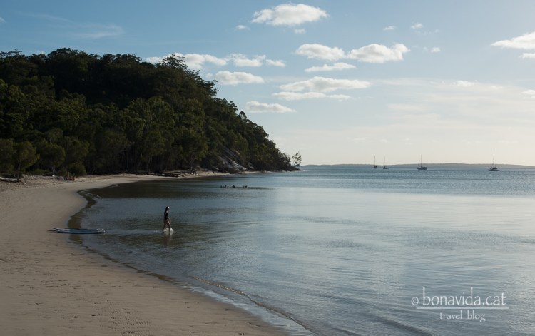 Platja de Kingfisher