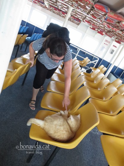 Entre els passatgers, la Cristina fa un amic