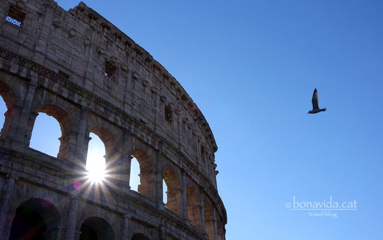 El Colosseo continua impressionant-nos