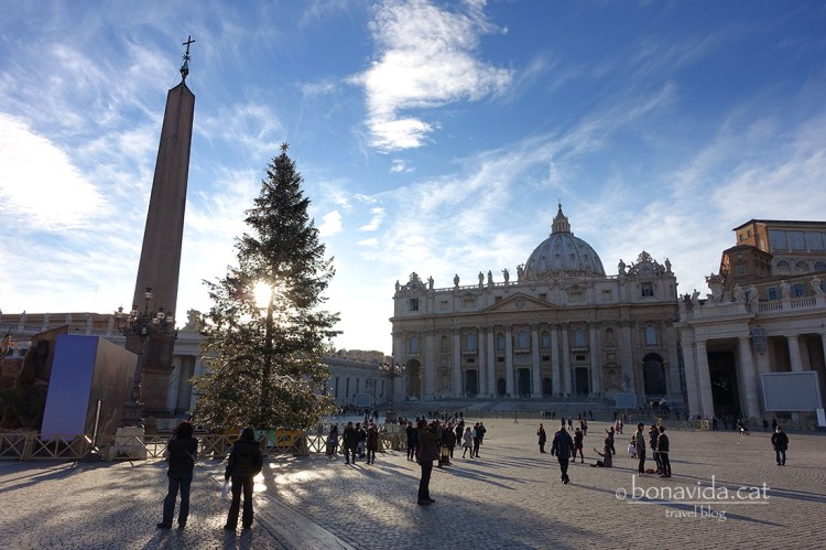 Per Nadal un gran arbre i un betlem presideixen la plaça