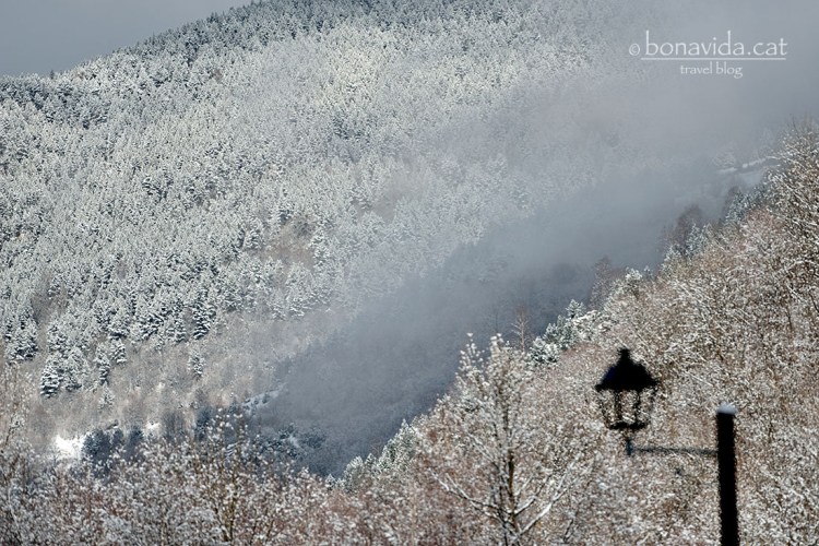 La boira potencia encara més la sensació de fred