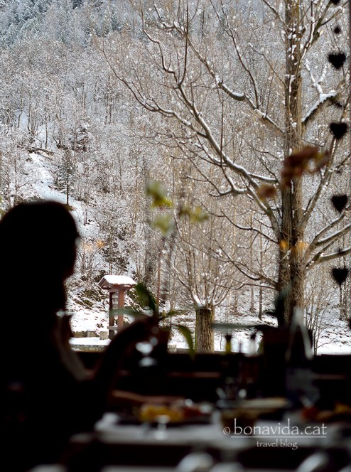 El restaurant té bones vistes a la muntanya