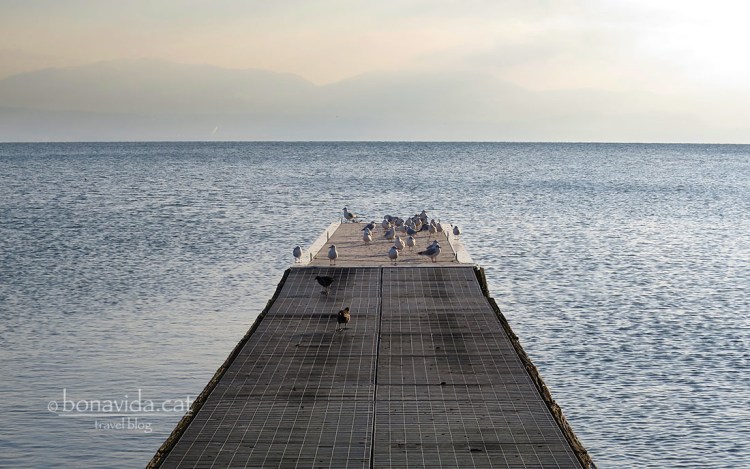 Ruta Lago Léman. Poble de Morges