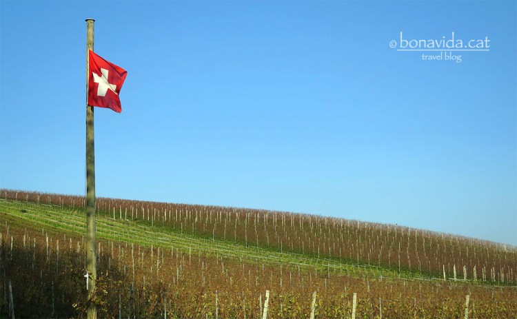 Ruta Lago Léman. Poble de Rolle