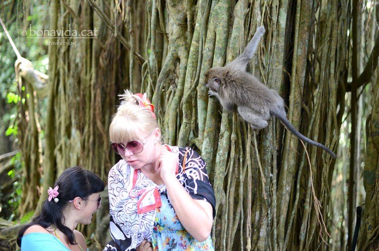 ...però si ens descuidem...