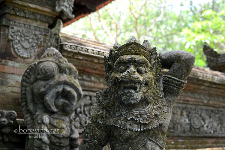 Sembla posar per la foto