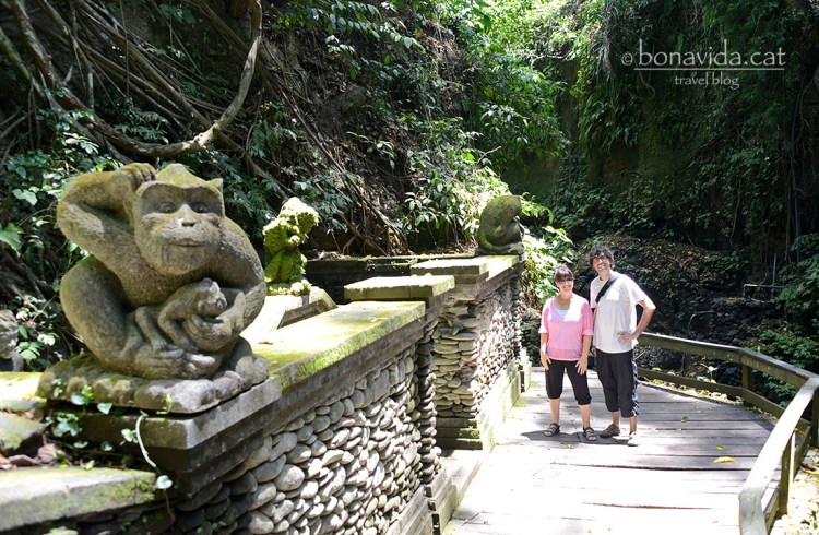 Preferim fer-nos una foto amb aquest mico més tranquil...