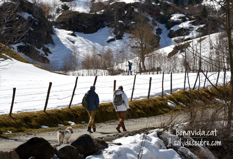 L'excursió coinideix en alguns trams amb la pista d'esquí nòrdic