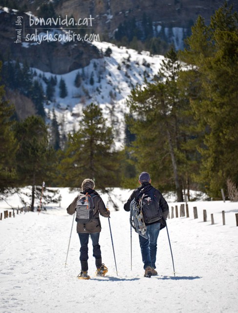 Ideal per fer-ho amb raquetes de neu