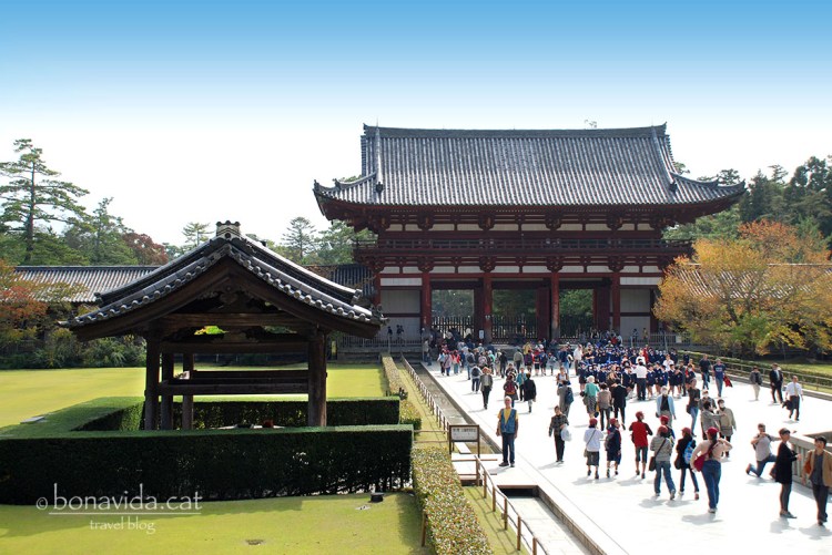 japo nara temples 2