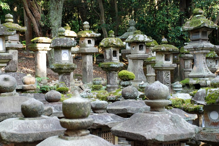 Farols de pedra al Santuari Kasuga Taisha, dins el recinte de Nara-Kõen.