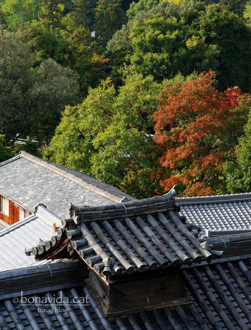 Dins el recinte del Parc Nara-Kõen, trobem la sala Nigatsu-dõ.