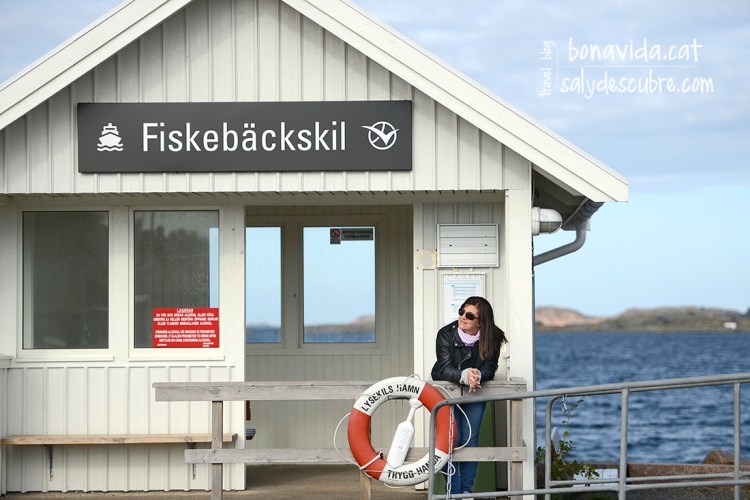 Quina tranquil·litat...