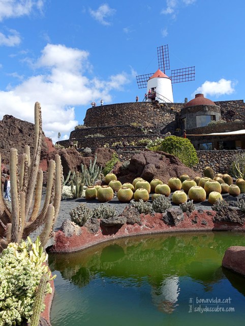 Al jardí trobem un antic molí