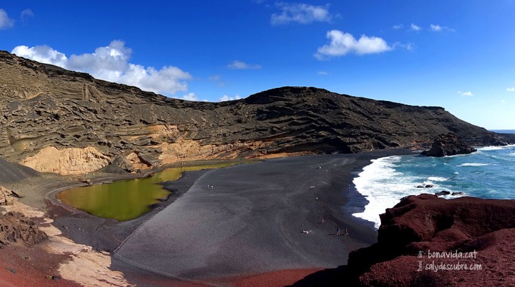 El verd intens de la Laguna los Clicos destaca sobre la sorra negra de la platja