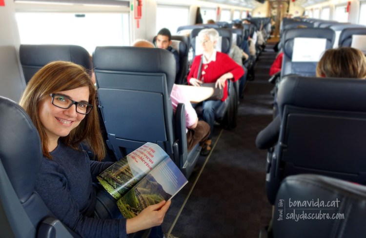 En AVE cap a Sevilla