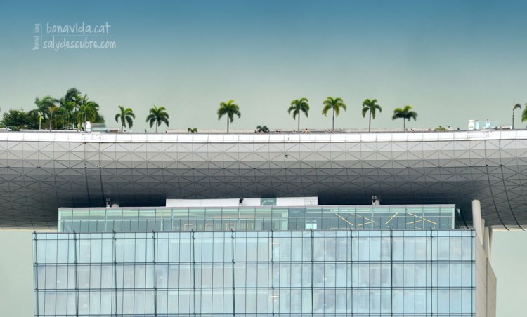 Sembla mentida com pot aguantar-se la plataforma sobre les torres...