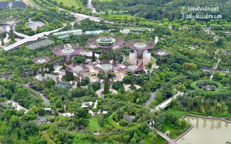 Darrere l'hotel trobem el Marina Garden.