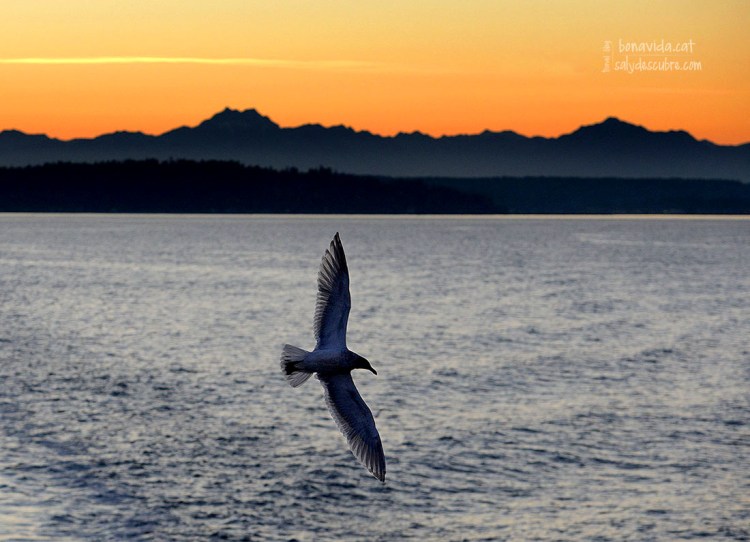 Una posta de sol genial!!!