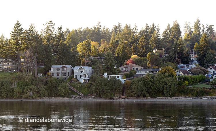 Arribant a Bainbridge Island