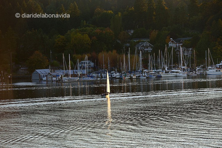 Aquesta ciutat fa uns anys va ser triada com una de les millors on viure de tot els EEUU