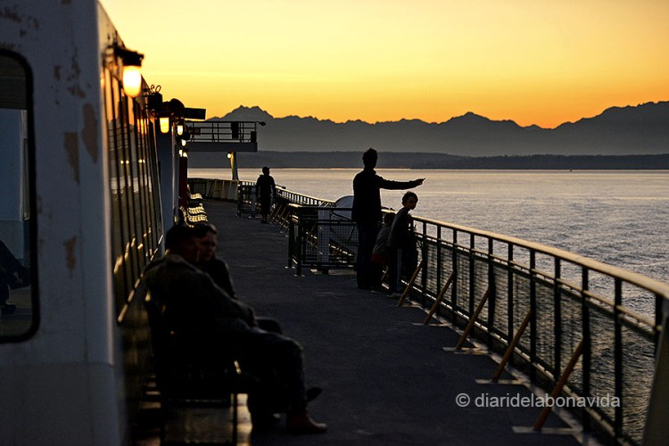 Tornem en un complet silenci