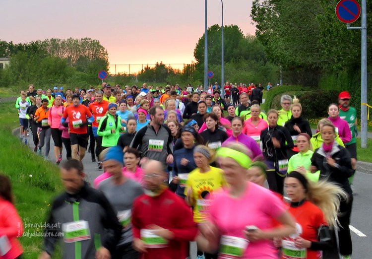 23h de la nit, i un sol maquíssim