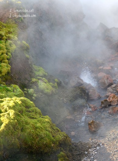 Brollidors d'aigua calenta a Deildartunguhver