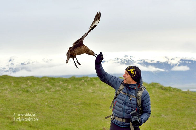 L'Enar, el nostre guia, és atacat per 