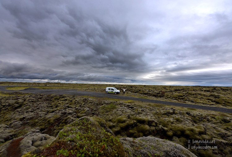 Entre roques de lava solidificada