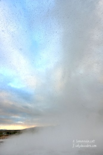 Última foto abans de ser ruixats completament!!!