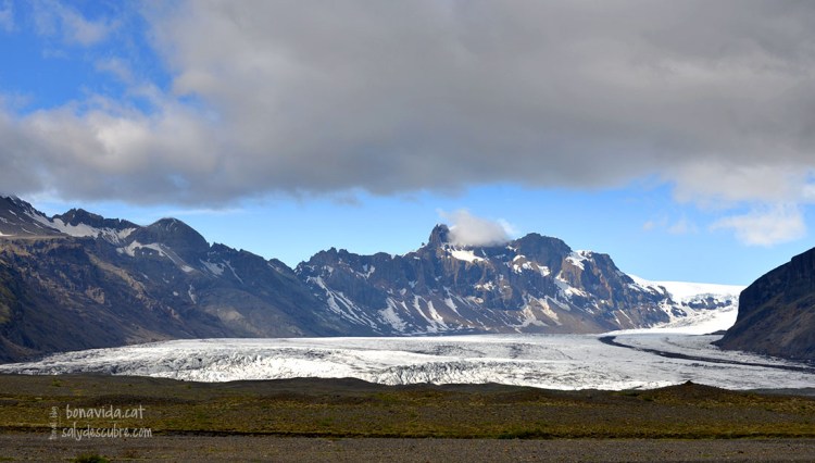 Glacera Svínafellsjökull
