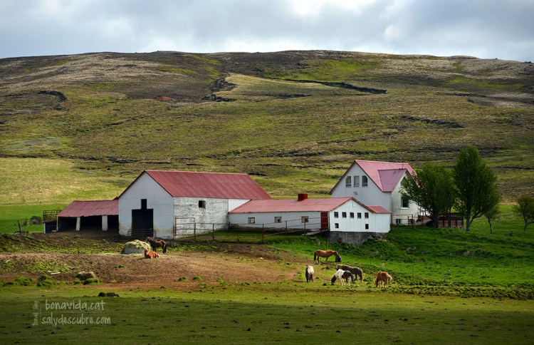 Només algunes llunyanes granges ens acompanyen durant la ruta