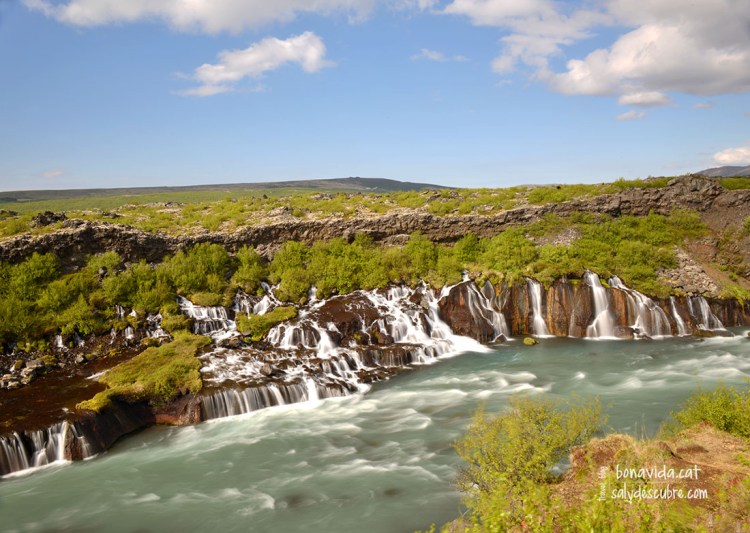 Salts d'aigua de Hraunfossar. Molt fotogènics!