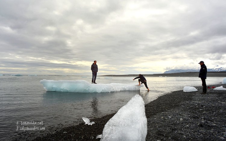 Alguns no poden resistir la temptació de navegar sobre el gel