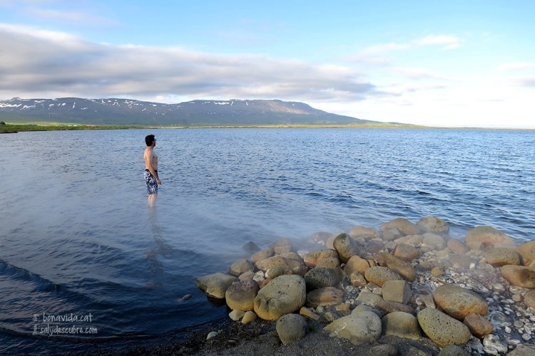 Les emanacions d'aigues termals brollen de l'interior de la terra al llac Laugarvatn