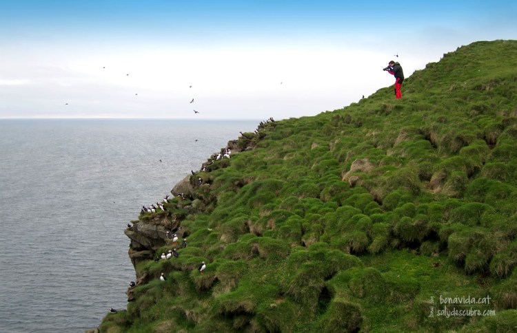 Fotografiant els frailets