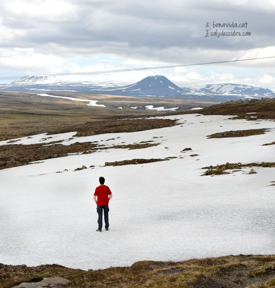 Tot i ser el mes de juny, passem per moltes zones nevades