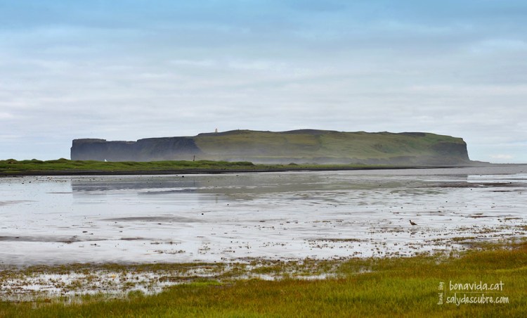 Ens endinsem als aiguamolls