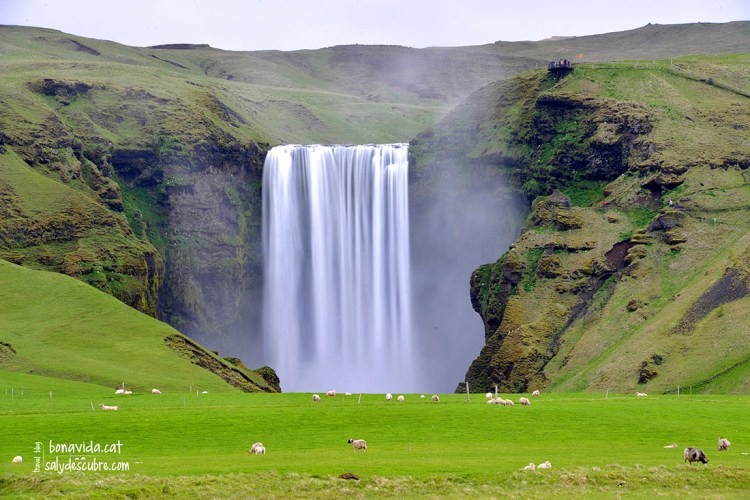 islandia skogafoss