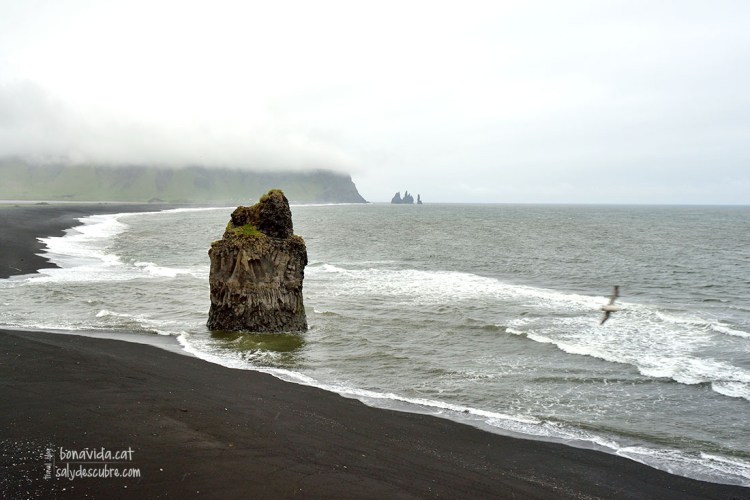 Platja de Dyrhólaey